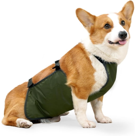 Waterproof Corgi Raincoat - Lightweight Dog Bellyband & Protector, Breathable, Anti-Dirty Puppy Outfits(Green,3XL)
