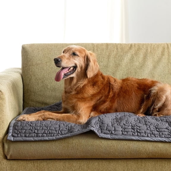 Waterproof Couch Cover – 24x47 Blanket for Sofa Car Seat or Crate – Machine Washable Absorbent Reusable Pad for Puppy Training – Dogs Cats Pets Friendly Protector - Dark Grey