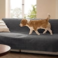 thumbnail image 1 of Waterproof Couch Cover for Dogs Washable - Waterproof Blanket for Large Dogs Couch Sofa Bed Cozy, Lightweight Furniture Protector for Pet Cat Quick Drying, Charcoal, 52x82IN, 1 of 8