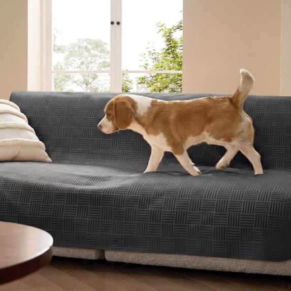 Waterproof Couch Cover for Dogs Washable - Waterproof Blanket for Large Dogs Couch Sofa Bed Cozy, Lightweight Furniture Protector for Pet Cat Quick Drying, Charcoal, 52x82IN