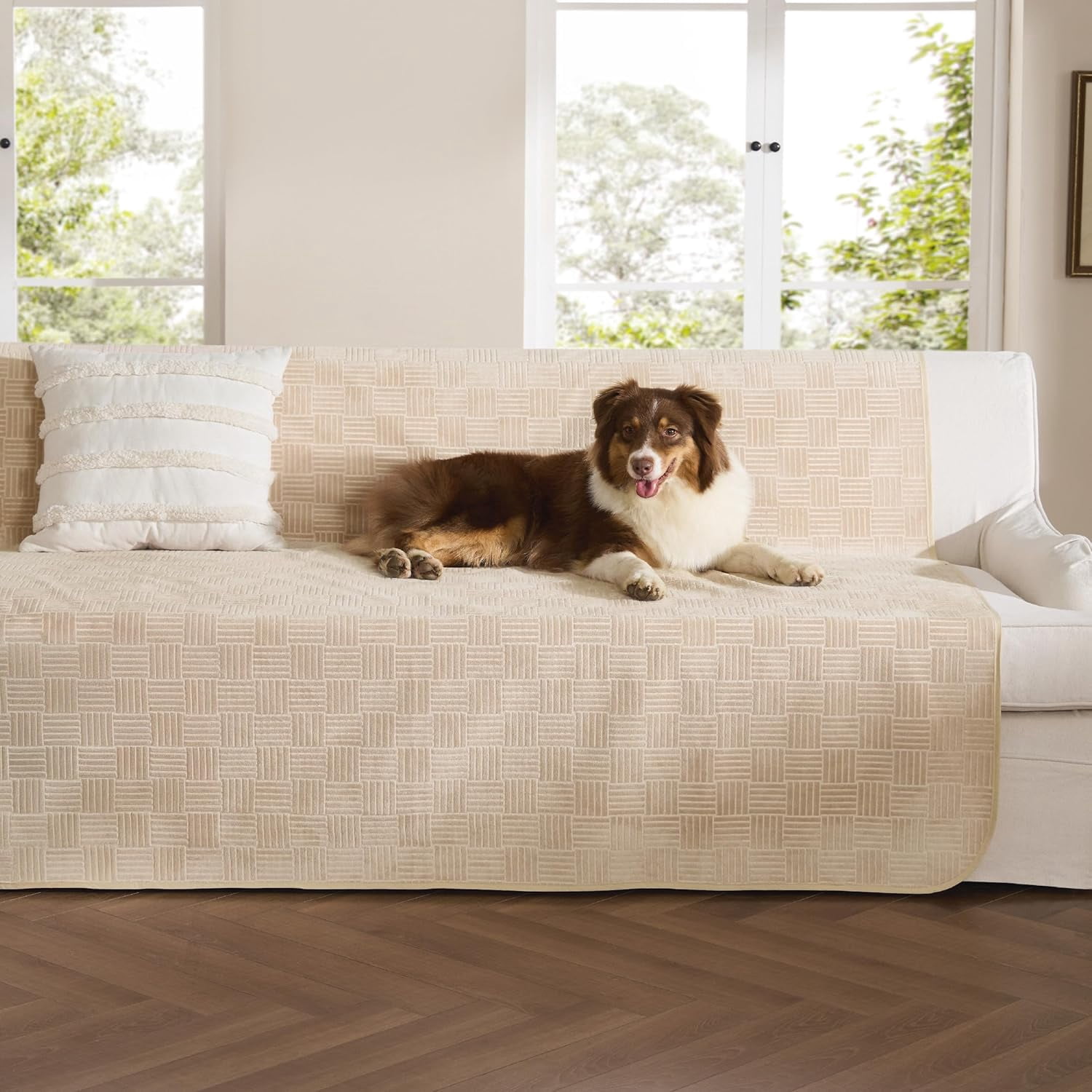 Waterproof Couch Cover for Dogs Washable - Waterproof Blanket for Large Dogs Couch Sofa Bed Cozy, Lightweight Furniture Protector for Pet Cat Quick Drying, Sandy Tan, 52x82IN