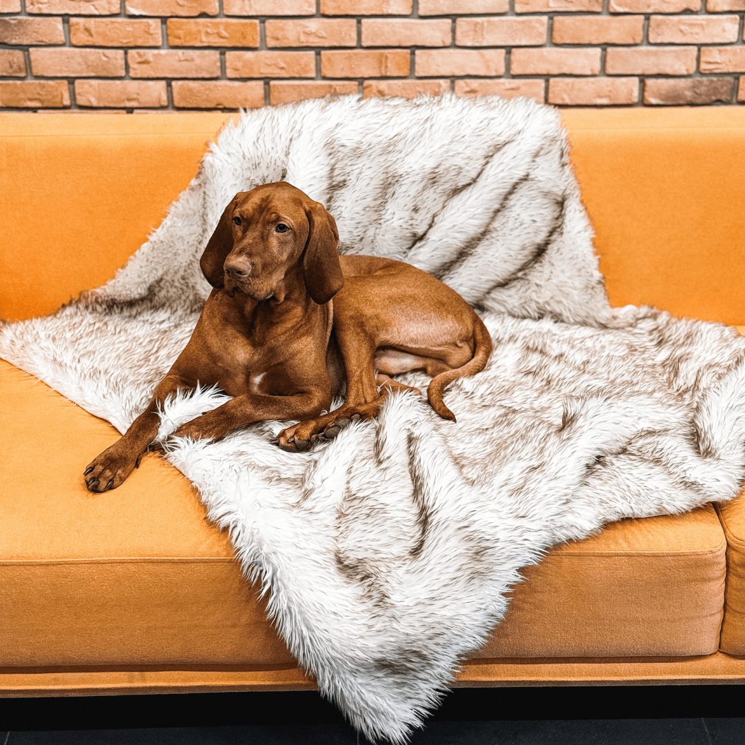 Waterproof Dog Blanket for Couch Protection, Reversible Fleece & Sherpa Pet Throw, Soft & Cozy, Machine Washable – Ideal for Dogs & Cats, Multiple Sizes