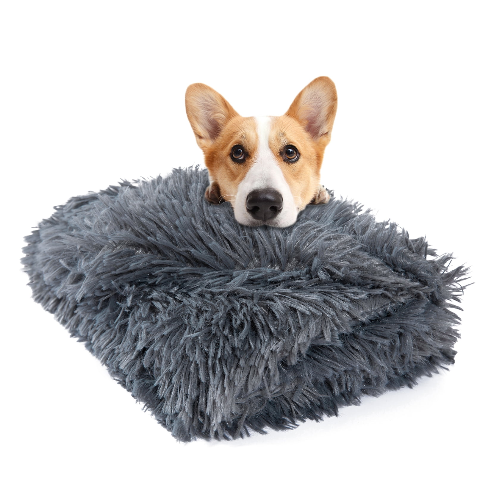 Fluffy dog blanket cheap