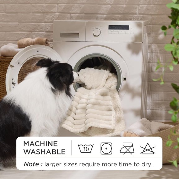 Waterproof Dog Blankets for Large Dogs - Soft Pet Cat Blanket Corduroy Fleece for Bed Protector Washable, Cozy Calming Reversible Furniture Protection,60"x80", Cream