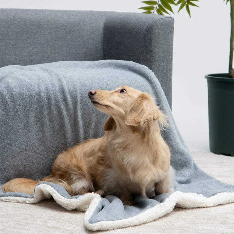 Waterproof Dog Blankets for Medium Dogs Medium Cat Blanket