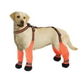 thumbnail image 1 of Waterproof Dog Boots, Anti-Slip Adjustable Dog Paw Protectors, Reflective Dog Boots with Suspenders, Dirty-Proof Dog Shoes for Small Medium Large Dogs Outdoor Walking Running Hiking Orange M, 1 of 6