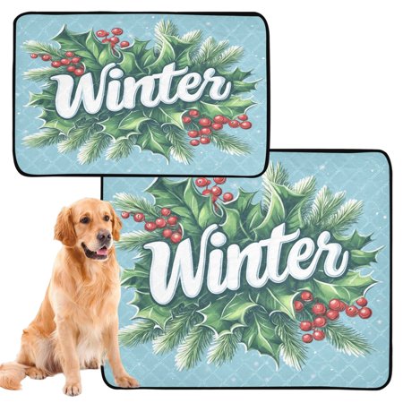 Waterproof Dog Cat Pet Mat with Plush Absorbent Surface & Non-Slip Dotted Base, Leakproof Dog Cat Mat for Couch,Car Seat,Floor Protection The Winter