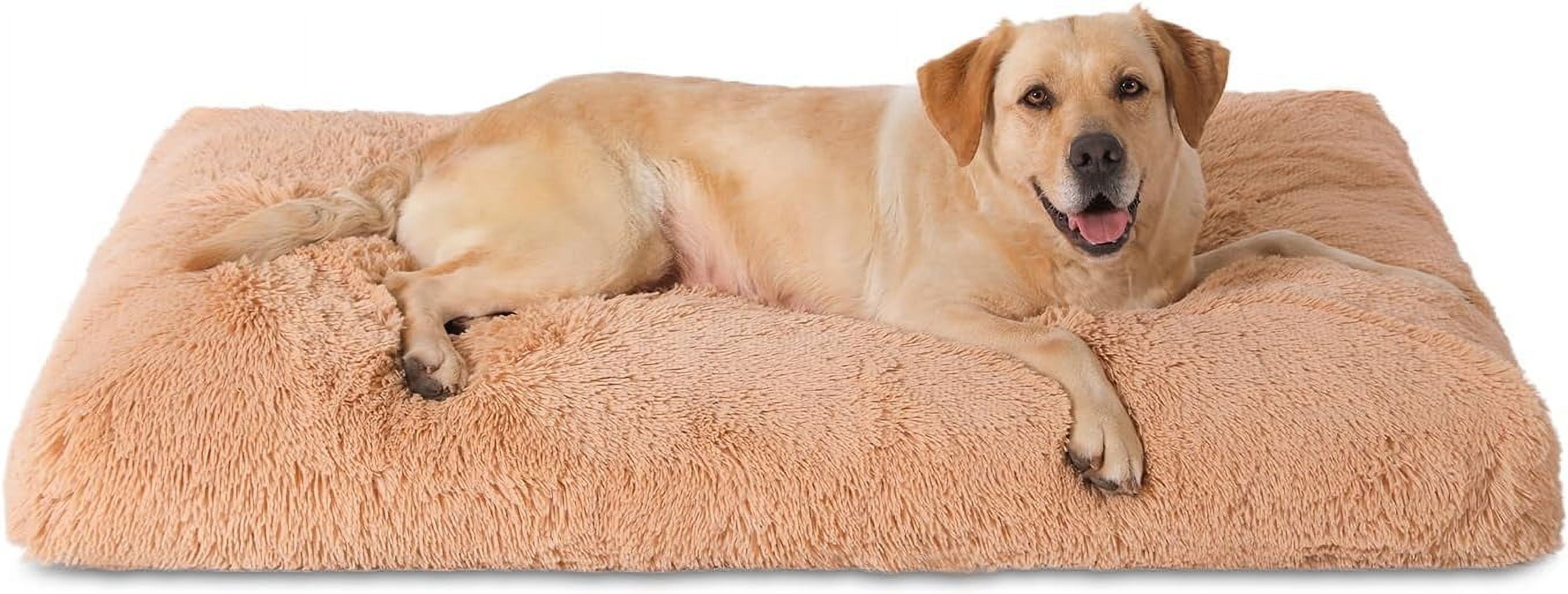 Beautiful view of Senior Dog Crate Liners With Washable Covers