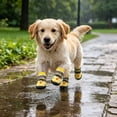 thumbnail image 1 of Waterproof Dog Rain Boots Reflective Fruit Print Pet Paw Protector with Adjustable Drawstring Anti-Slip Rubber Sole Strawberry Pineapple Pet Shoes For Small Medium Dogs Rainy Outdoor Walking, 1 of 5