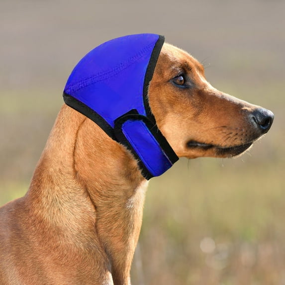 Waterproof Dog Swim Hat Bath Cap, Swimming Waterproof Dog Ear Caps Calming Large Dog Ears Cover Shower Cap for Ear Protection for Bath for Grooming (M, Blue)