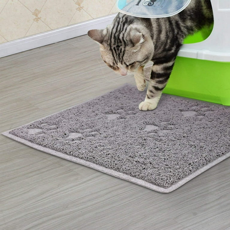 Cat peeing breath on rug next to litter box