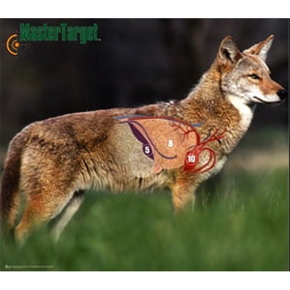 "Waterproof  Full-Color Coyote Targets  2 Pack"