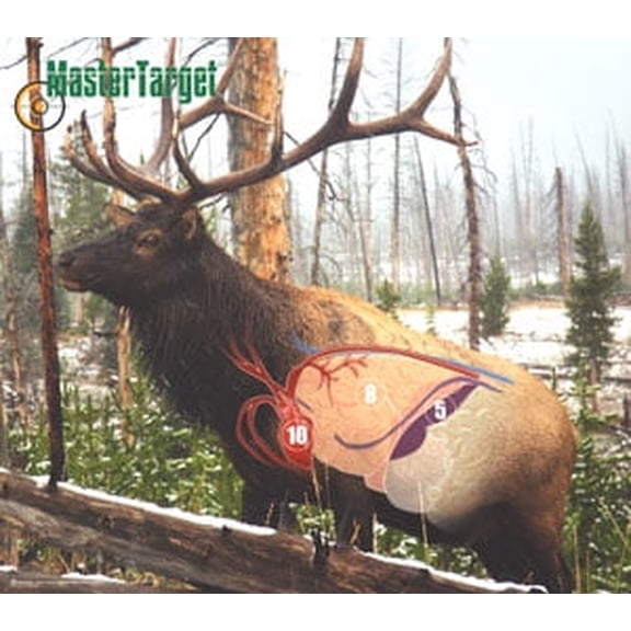"Waterproof  Full-Color Elk Targets  2 Pack"