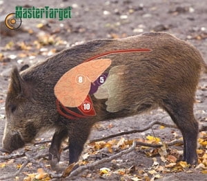 "Waterproof – Full-Color Hog Targets – 2 Pack"