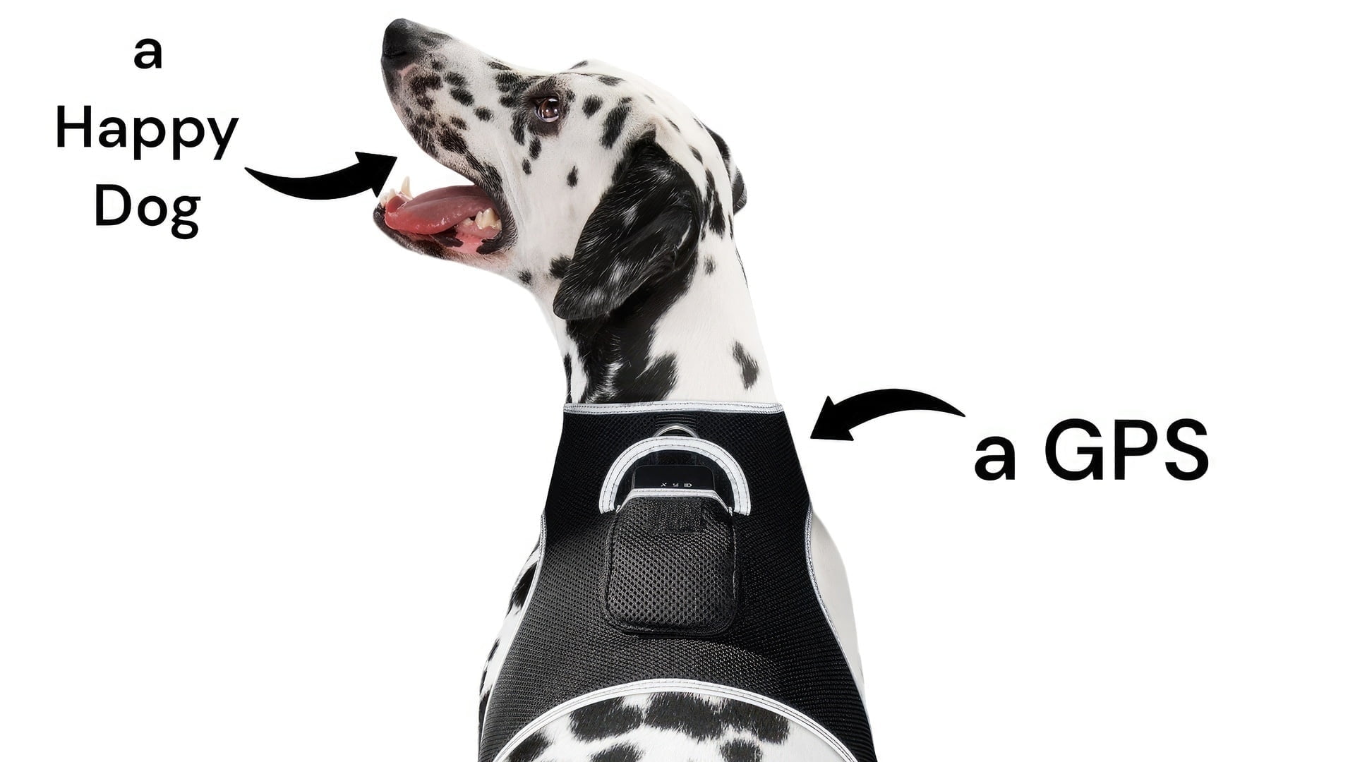 NIB Waterproof Cell Phone GPS Pet Tracker Collar Mount Tracking Device Size:XL