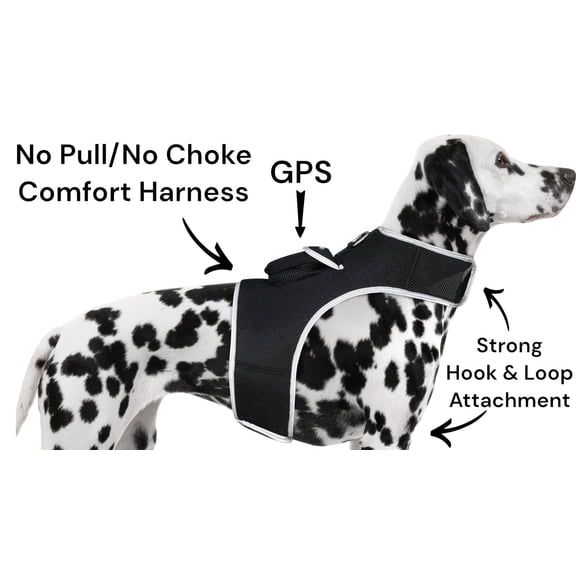Waterproof GSM GPRS GPS Tracking Collars for Dogs with Movement Sensor Size:L
