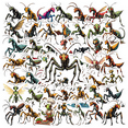 thumbnail image 1 of Waterproof Insect Stickers Vinyl Cartoon Stickers Colorful Fun Stickers for Notebooks Phones Luggage, 1 of 9