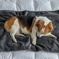 thumbnail image 1 of Waterproof Lambswool Pet Blanket, 40x30in Extra Large Warm & Watertight Mat, Reversible Kennel Liner for Dogs & Cats, Brown Plush Fleece Water-Resistant Throw Gray, 1 of 6