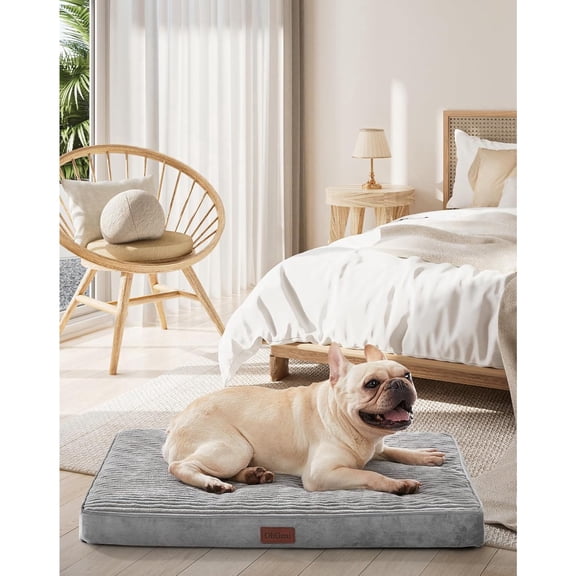 Waterproof & Machine Washable Dog Bed for Small Medium Pets, Suitable for Crates, Cat Mat with 25D Egg Crate Foam, Removable Cover & Invisible Zipper, 30 Inches(Gray)