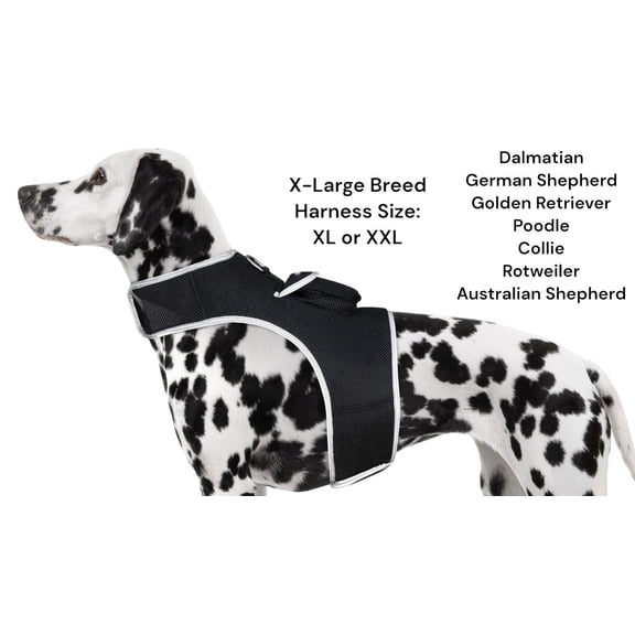 Pet Tracker Rechargeable GPS Tracking Device with Realtime Detailed Pet Tracker App Size:XXL