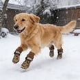 thumbnail image 1 of Waterproof Non Slip Dog Socks Shoes with Adjustable Straps for Small, Medium, Large Dogs – Indoor Outdoor Paw Protection, Easy Wash, Anti Slip for Walking and Travel, 1 of 6