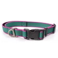 thumbnail image 1 of Waterproof PVC Dog Collar, Purple & Lime Green, Size S (15"-19.69" Neck), Adjustable with Quick Release Buckle & Heavy Duty D-Ring, 1 of 8