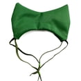 thumbnail image 1 of Waterproof Pet Bathing Cap for Dogs & Cats, Adjustable Shower Headgear for Ear/Protection, Grooming Supplies to Keep Water Out During Baths for a Stress-Free Wash Green, 1 of 6