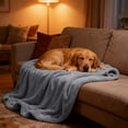 thumbnail image 1 of Waterproof Pet Blanket 30"x39" - Reversible Sofa & Bed Furniture Protector Cover for Dogs & Cats, Washable Leakproof Throw Blanket, 1 of 6