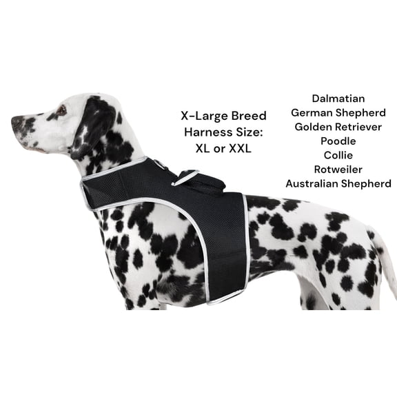 Waterproof Pet GPS Locator Device Rechargeable Dog/Cat Collar Tracker Size:XS