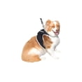 thumbnail image 1 of Waterproof Pet Tracker GSM GPRS Realtime Smallest GPS Pet Tracking Device Size:XS, 1 of 5
