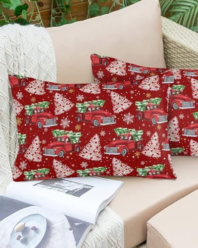 Waterproof Pillow Covers for Couch Throw Pillow Cases Set of 2 ...