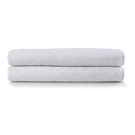 Waterproof Pillow Protector, Set of 2