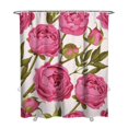 thumbnail image 1 of Waterproof Pioneer Shower Curtain 72x84 Inch Polyester Unique Cute Floral Shower Curtain for Bathroom Hotel Home Decor with 12 Plastic Hooks, 1 of 5