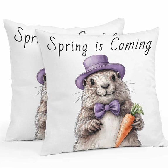 Waterproof Throw Pillow Covers Set of 2, 24x24 Inch Groundhog Day Decorative Pillowcases Outdoor Pillow Slip Cushion Covers Set for Couch Tent Spring Cute Grey Animals Carrot