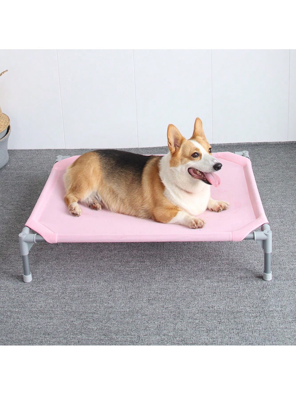 Extra large dog cot bed hotsell