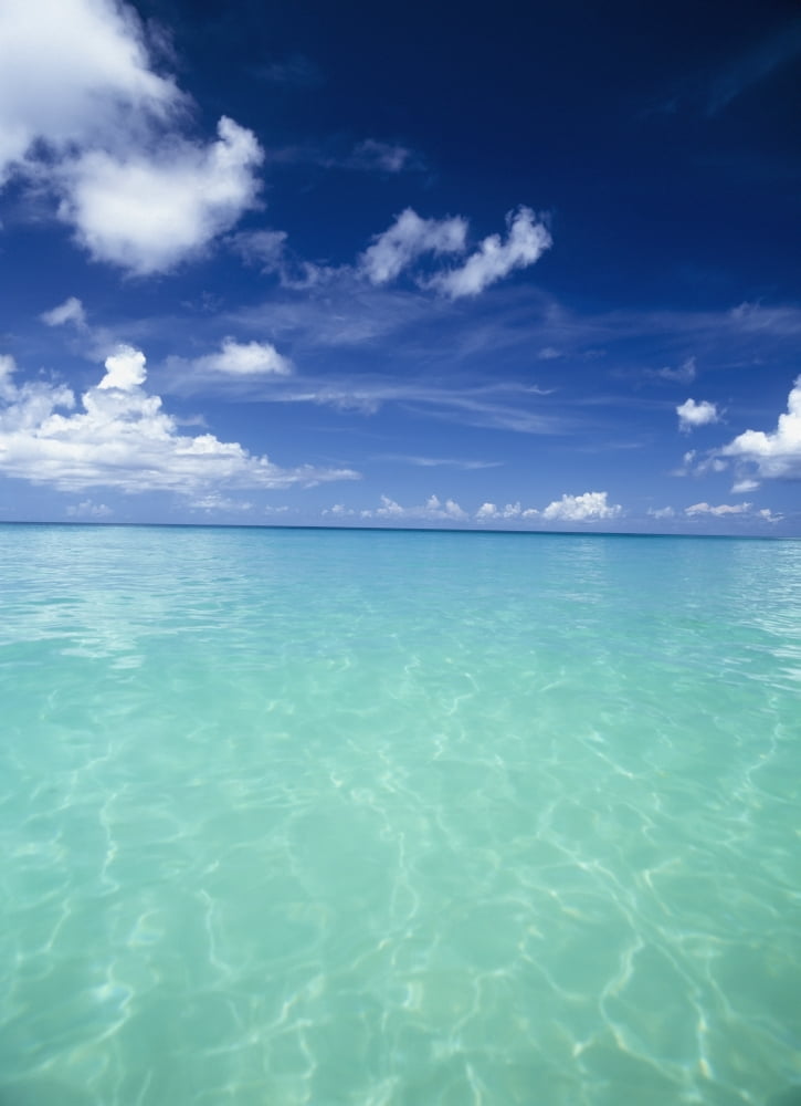 Waters Off The West Coast Of BarbadosBeach Water Ocean Horizon Canvas Art - Ian Cumming Design Pics (26 x 36)