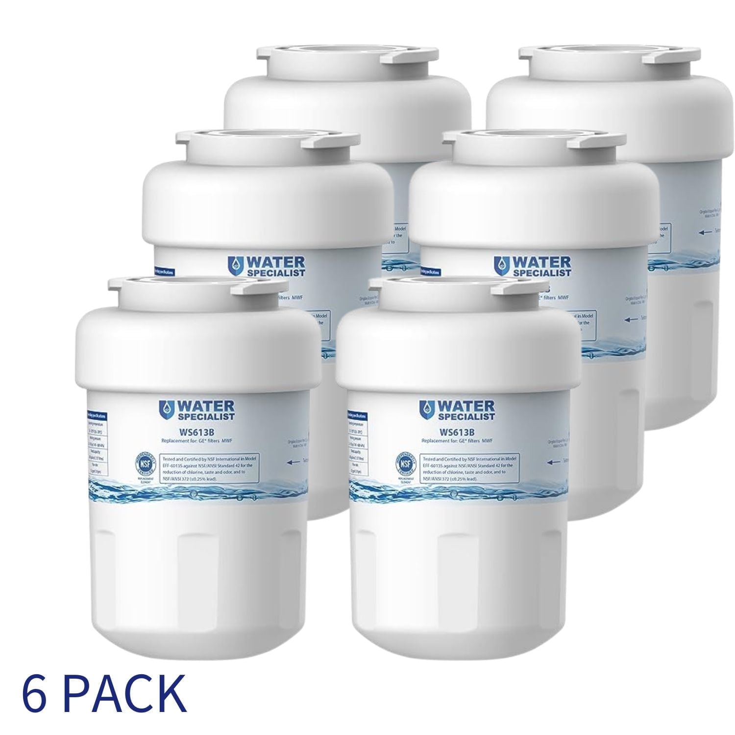 Waterspecialist MWF Refrigerator Water Filter, Replacement for GE Smart Water MWFP , MWFA, GWF, HDX FMG-1, WFC1201, GSE25GSHECSS, PC75009, RWF1060,6 PACK