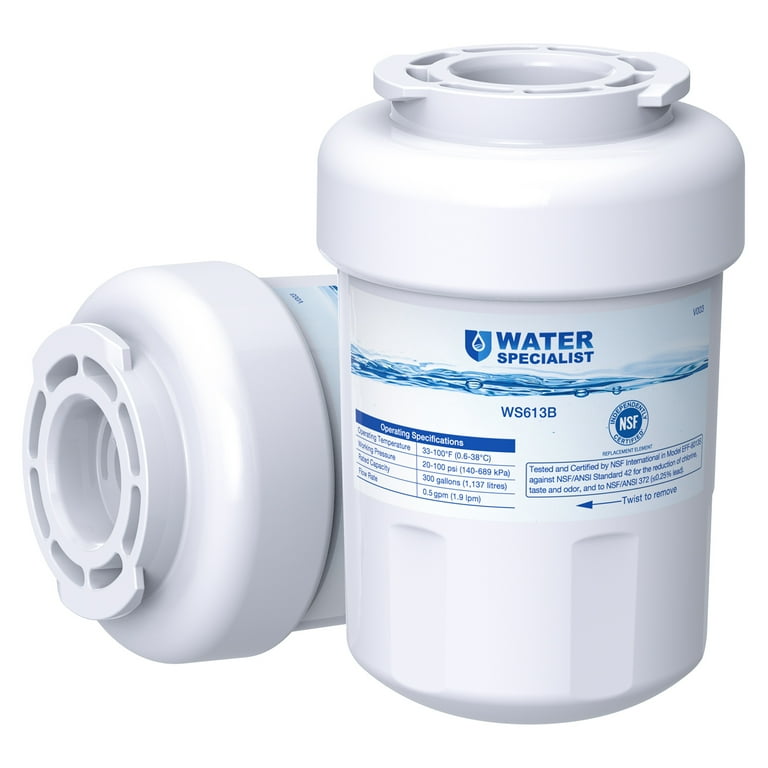 Waterspecialist MWF Refrigerator Water Filter Replacement for GE Smart Water Mwf Mwfint MWFP MWFA GWF HDX FMG 1 WFC1201 RWF1060 Kenmore 9991