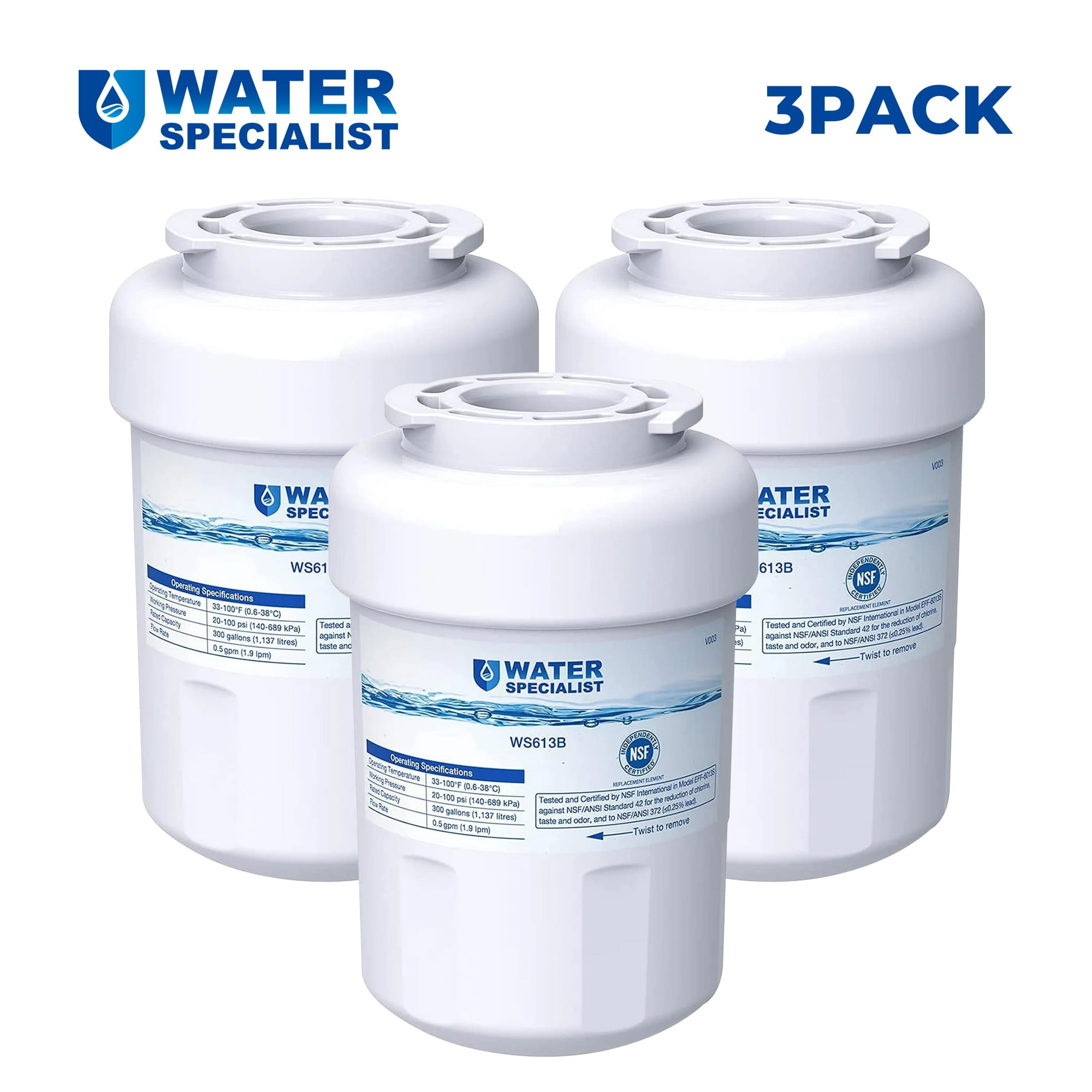 Waterspecialist MWF Refrigerator Water Filter, Replacement for GE Smart Water MWFP , MWFA, GWF, HDX FMG-1, WFC1201, GSE25GSHECSS, PC75009, RWF1060, 3 PACK