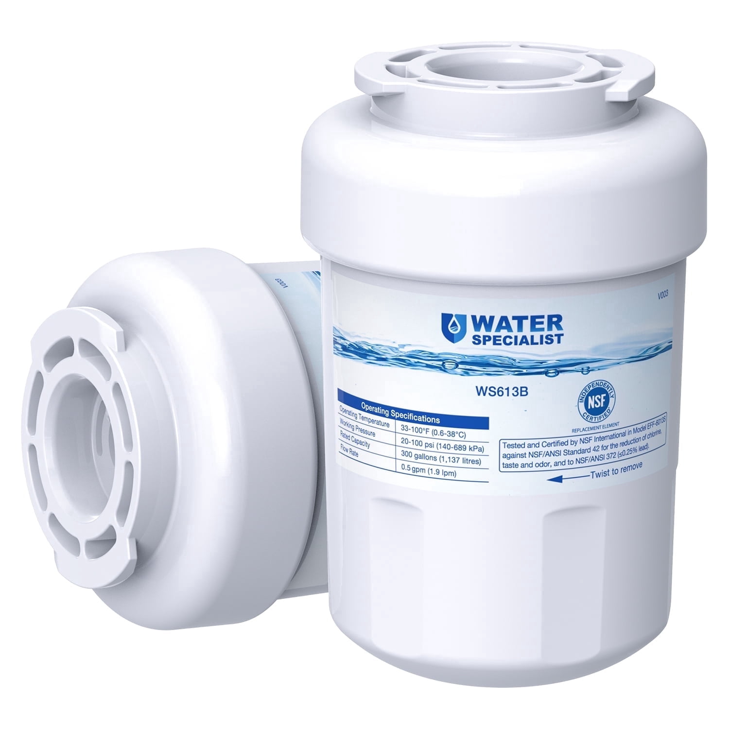 Waterspecialist MWF Refrigerator Water Filter, Replacement for GE® Smart Water MWF, MWFINT, MWFP, MWFA, GWF, HDX FMG-1, WFC1201, RWF1060, Kenmore 9991, 2 Packs
