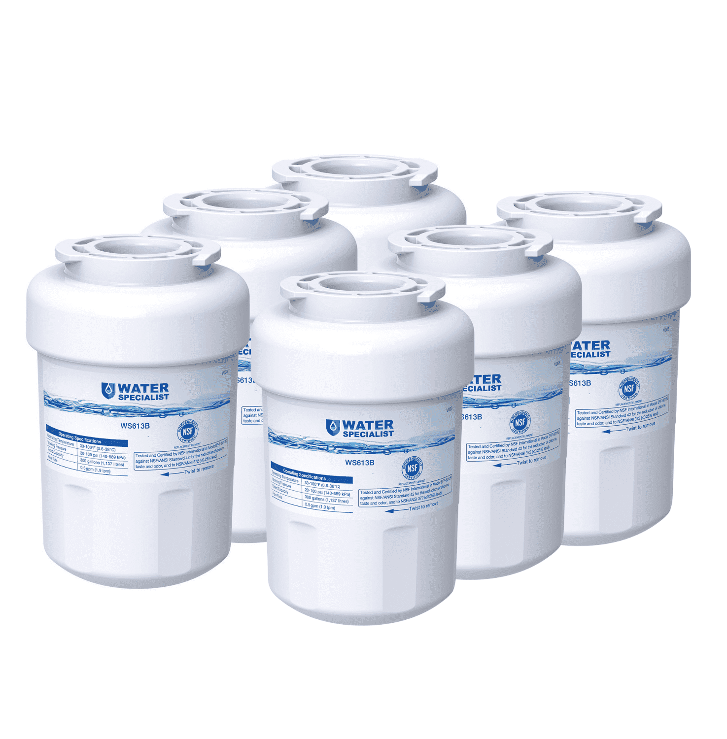 Waterspecialist WS613B Replacement for GE® MWF®, SmartWater® MWFP, MWFA, GWF, HDX FMG-1, WFC1201, GSE25GSHECSS, RWF1060 Refrigerator Water Filter 6 Filters