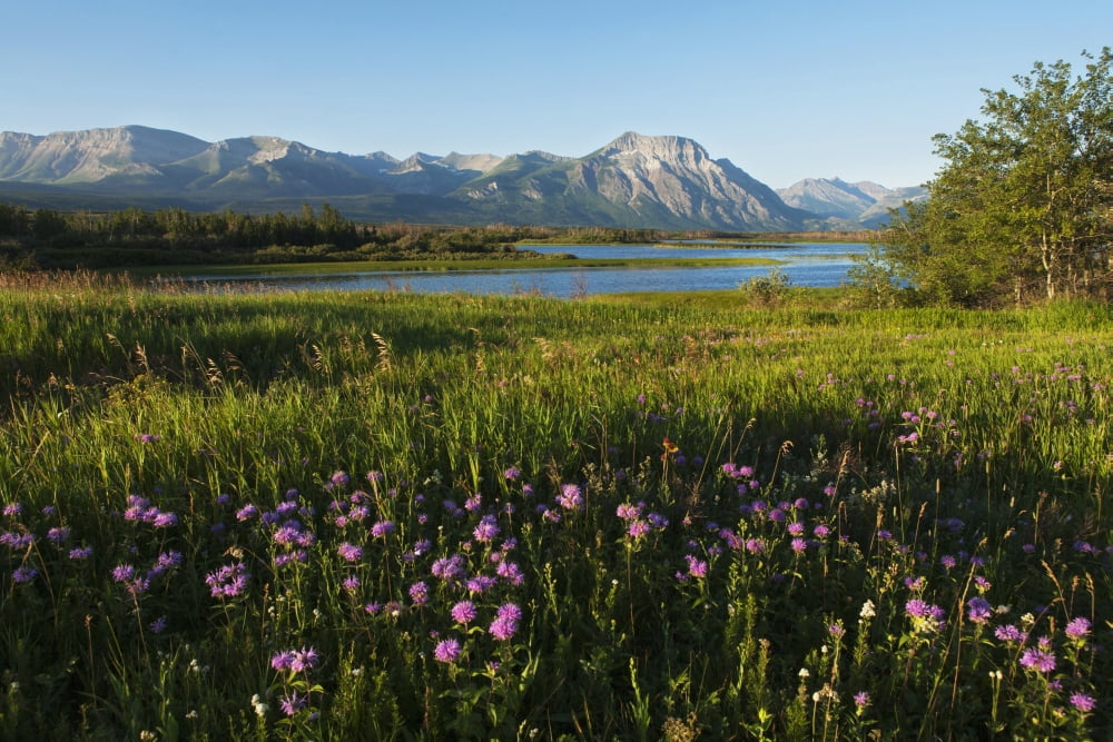 Waterton Lakes National Park Alberta Canada Canvas Art - Carl Bruemmer Design Pics (19 x 12)