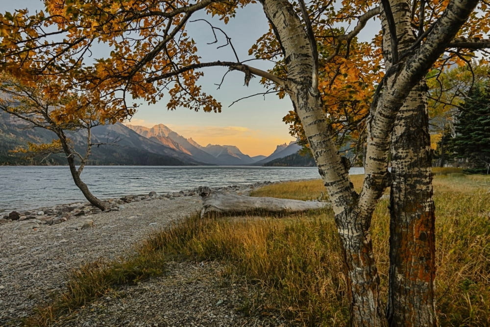 Waterton lake in autumn colours at sunset against the mountains Waterton Lakes National Park Alberta Canada Canvas Art - Ron Harris Design Pics (38 x 24)