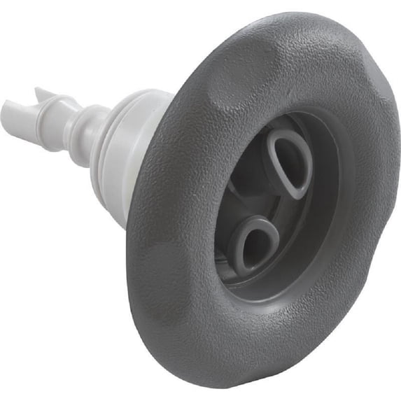 Waterway 229-8177 4" Poly Storm Twin Roto 5-Scallop Jet Internal - Gray