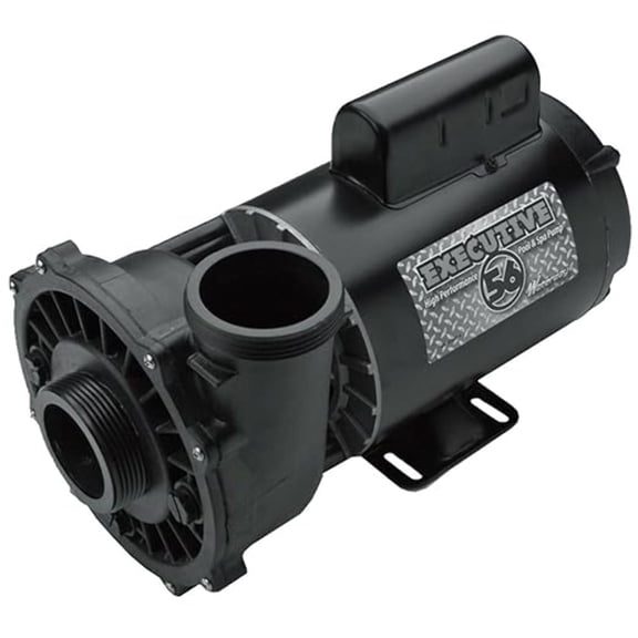 Waterway Executive 56 Frame Spa Pump 3 HP 230V 3721221-1D