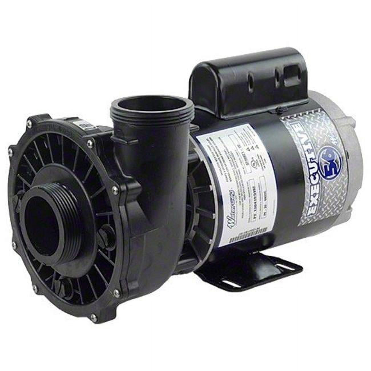 Executive 56 Frame Black 5 HP Dual-Speed Spa Pump