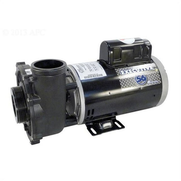 Waterway Executive 56 Frame Spa Pump 4 HP 230V 3721621-13