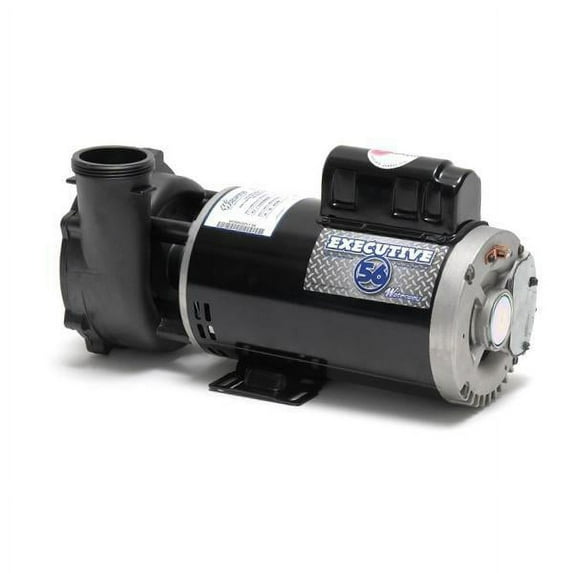 Pump, WW Exec, 5.0hp, 230v, 2-Speed, 56fr, 2-1/2" x 2", OEM