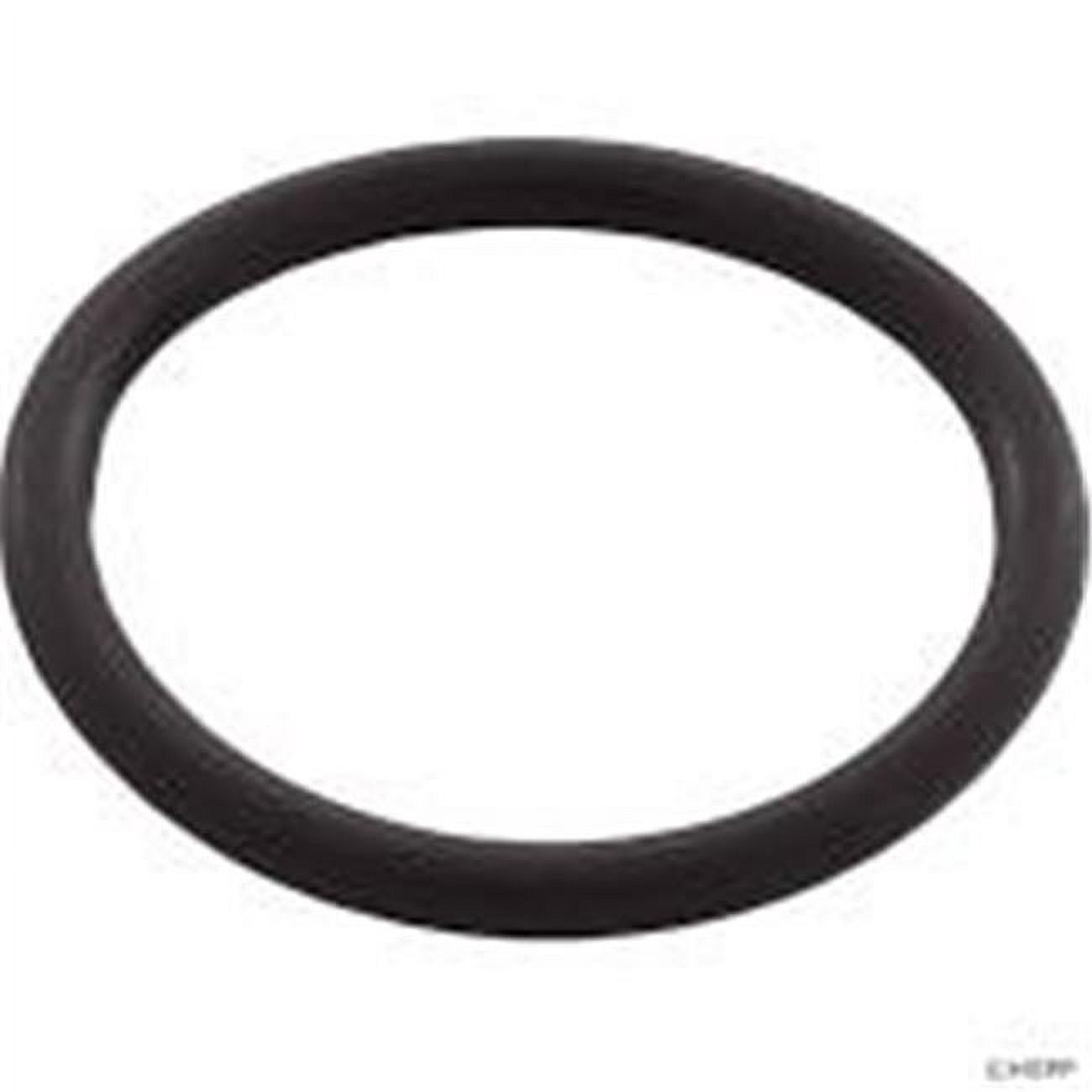 Waterway Plastics 0.75 x 0.62 in. dia. O-Ring, Mini Jet & Small ...