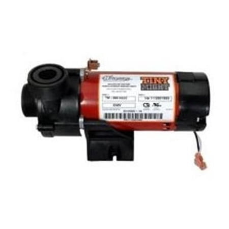 Waterway Plastics 240V 1 in. Threaded Union Pump Tiny Might